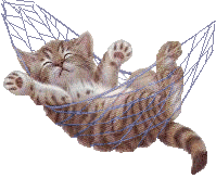 3a9af5a863_18184803_o2.gif