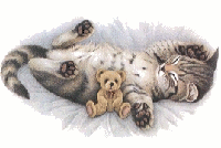 8da482ef5b_48502820_o2.gif